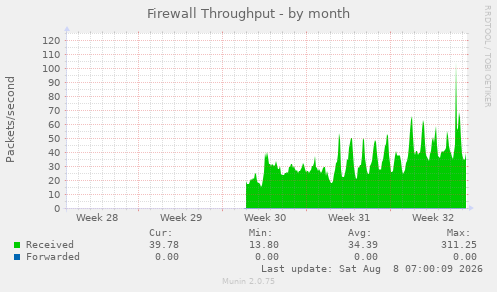 Firewall Throughput